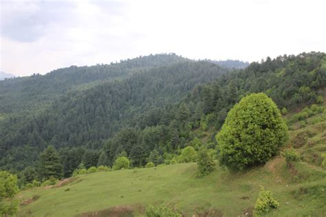 Toli Peer Beautiful Place In Rawalakot Azad Kashmir