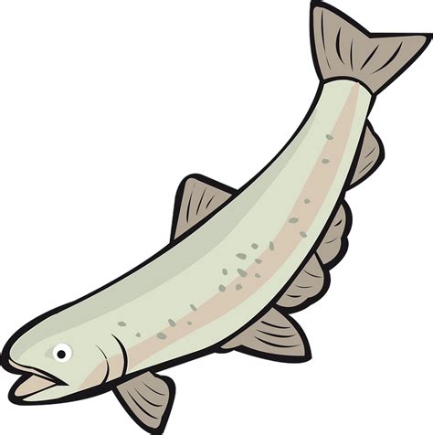 Salmon Clipart Free Download Transparent Png Creazilla