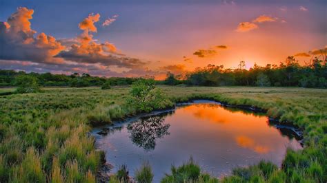 Sunset Pond
