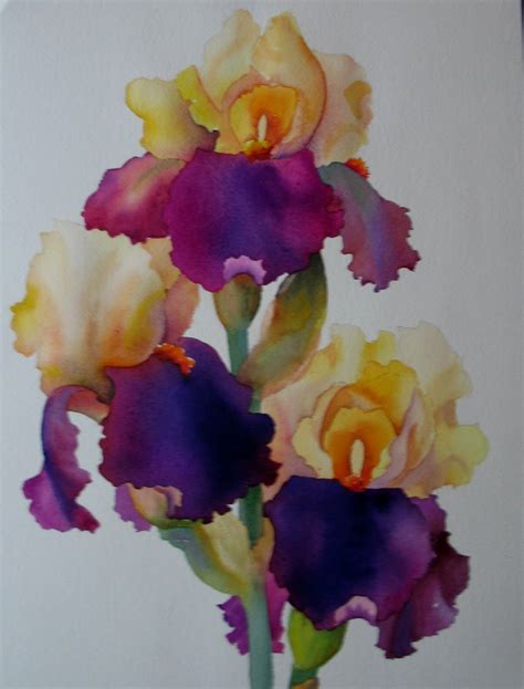 Lavender And Yellow Iris Watercolor Sold Iris Painting Flower Art