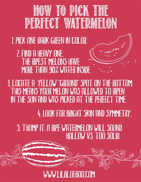 These spots may indicate the presence of fungus or bacteria. How To Pick a Watermelon - Printable Art