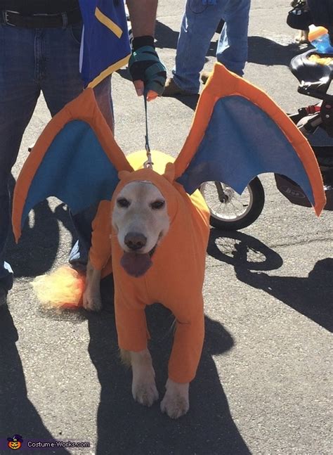 Pokemon Charizard Dog Costume