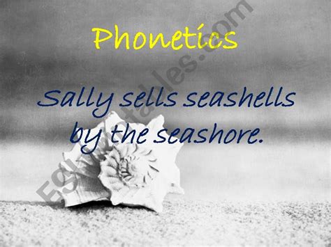 Esl English Powerpoints Sally Sells Seashells By The Seashore The