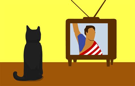 Lol Cat Watches Tv Funny