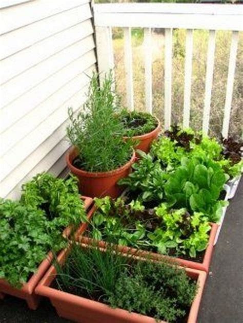 How To Grow A Balcony Vegetable Garden