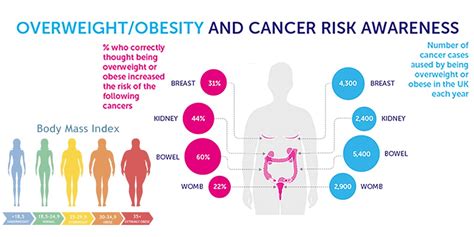 the effect of being overweight and obese on the risk of cancer is at least twice as large as