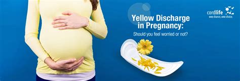 Yellow Discharge During Pregnancy Signs And Treatments