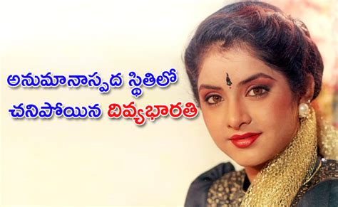 Divya Bharti Birth Anniversary Special Story In Telugu