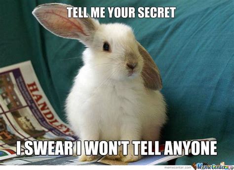 35 Most Funniest Rabbit Memes Graphics Pictures And S Picsmine