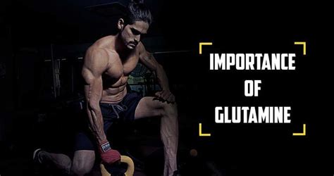 Is Glutamine Good For Bodybuilding Top 7 Proven Benefits