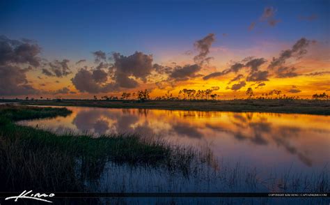 Beautiful Florida Landscape Sunset Over Wetlands In Jupiter Hdr
