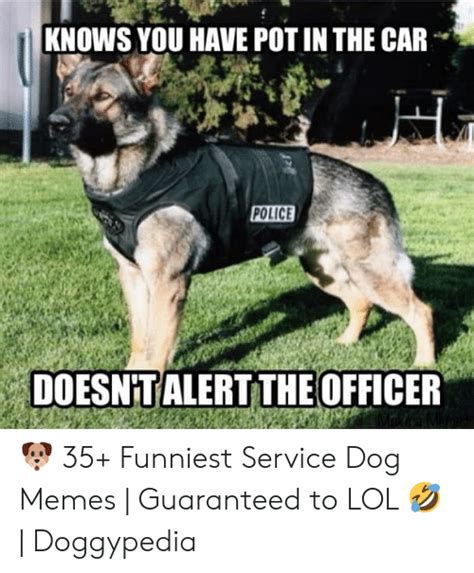 🐣 25 Best Memes About Police Dog Meme Police Dog Memes