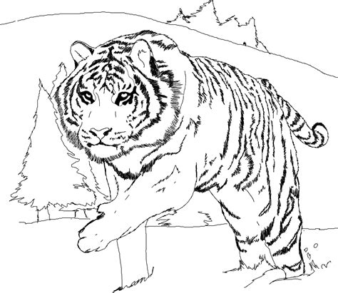 Free Tiger Coloring Page Coloring Home Realistic Tiger Coloring Pages
