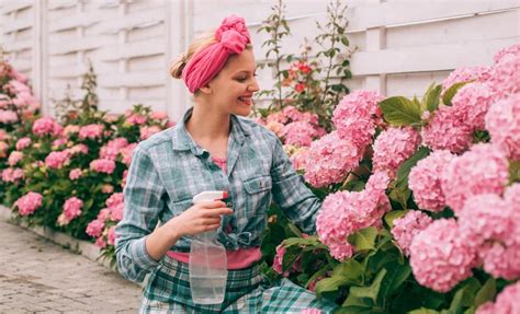 Cuidado De La Mujer De Flores En Jard N Jardinero Feliz De La Mujer Con