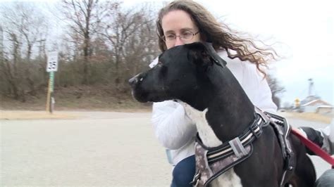 Dog Who Has Spent Entire 7 Year Life At Arkansas Humane Society Still