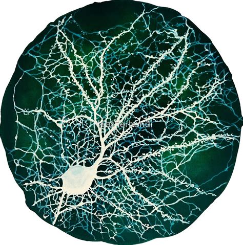 Dendritic Tree And Spines Of An Hippocampal Neuron Nebula By