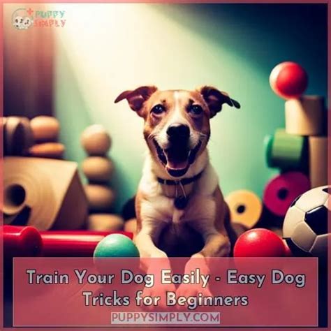 Train Your Dog Easily Easy Dog Tricks For Beginners