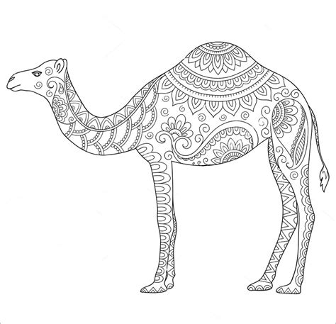 Camel Coloring Pages Coloringbay