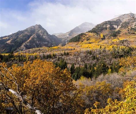 Utah Fall Colors 10 Places To Enjoy Fall Foliage In Utah Laptrinhx