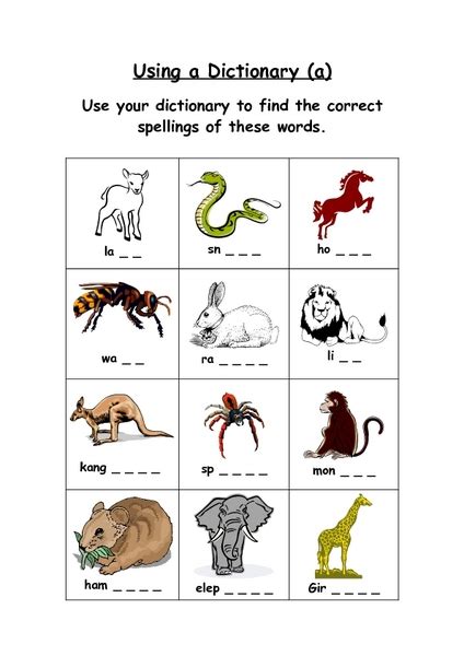 Dictionary Animal Spelling Worksheet For 1st 2nd Grade Lesson Planet
