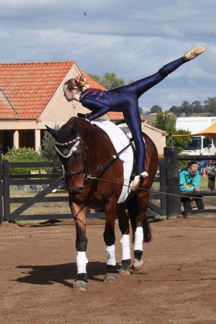 Images Equestrian Vaulting