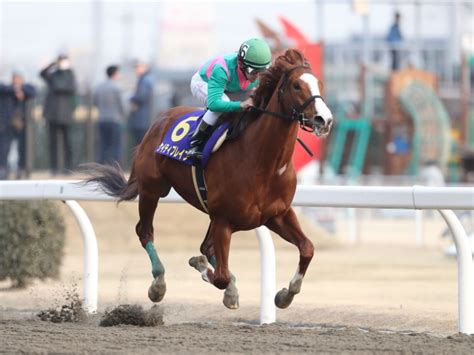 都道府県を選択 北海道 青森県 秋田県 岩手県 山形県 宮城県 福島県 群馬県 栃木県 茨城県 埼玉県 千葉県 東京都 神奈川県 山梨県 長野県 新潟県 富山県 石. ドバイワールドカップデーの見どころをオルフェーヴルくんが ...