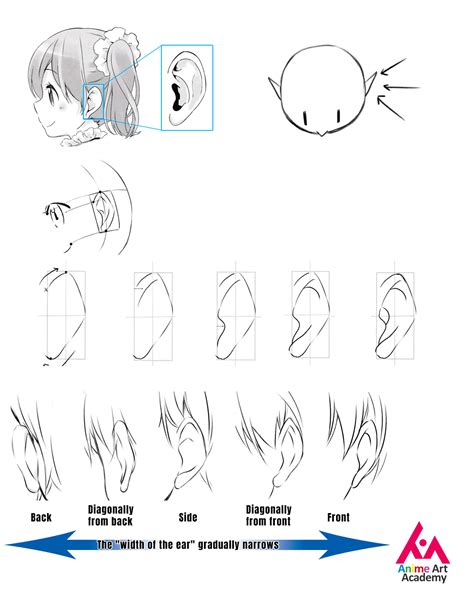 How To Draw Ears Ph