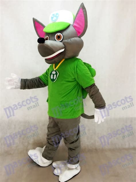 Paw Patrol Rocky Recycling Ecology Pup Mascot Character Costume Eco Pup