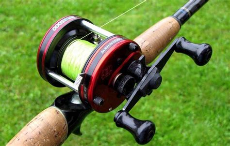 Best Baitcasting Reels For A Light Tackle Beginners Guide