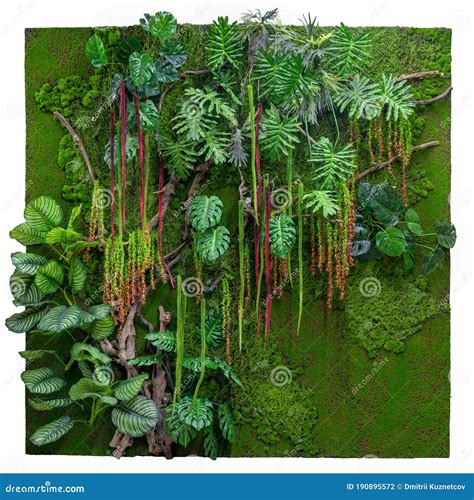 Vertical Garden Green Wall From Tropical Flowers Stock Photo Image Of