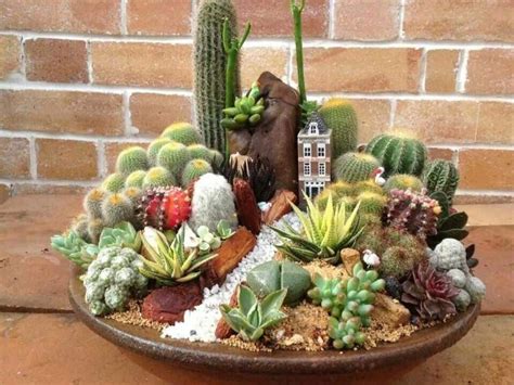 Caring Tips For A Dish Garden | Succulents, Dish garden ...