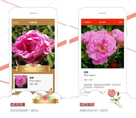 They will help us identify all kinds you can easily find out plant details from the captured picture using the plant identification app. Microsoft Launches iPhone-Exclusive App That Can Identify ...