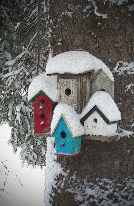 Winter Birdhouses For Our Feathered Friends