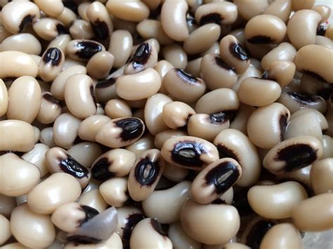 4:03 192 кбит/с 7.1 мб. Back To Organic - Black-eyed Pea and Roasted Garlic Hummus