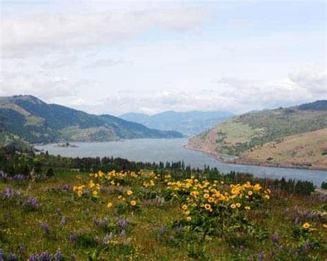 The chinook indian tribes of the columbia gorge used to lay the bones of their dead on open. Gorge Hikes: Memaloose State Park (with video!)