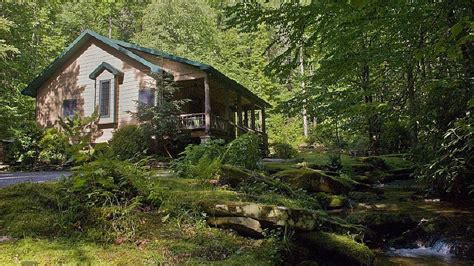 Secluded And Luxury Waterfall Cabin Bordered By 8000 Acre Forest Wifi