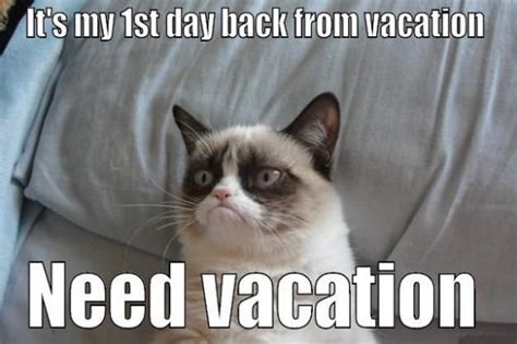 20 I Need A Vacation Memes Thatll Get You Laughing Sheideas