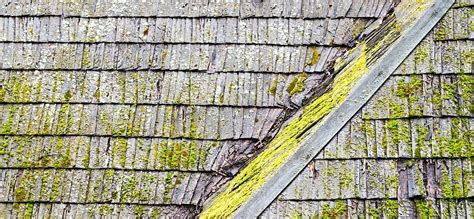 How To Remove Mold From The Roof Precision Roofing Inc