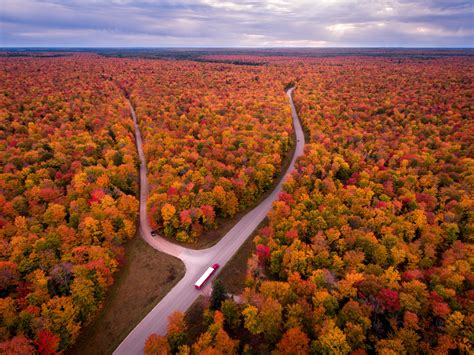 Roads Through Autumn Forests Hd Wallpaper Background Image