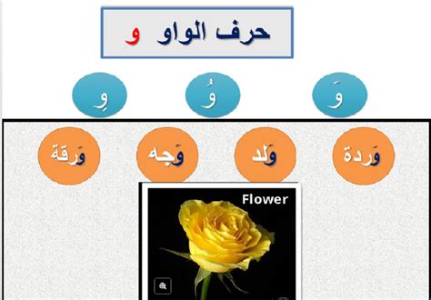 Writing The Arabic Letter Waw تعليم العربية كتابة حرف الواو و Youtube