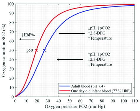 Oxyhemoglobin Dissociation Curve Of Fetal And Adult Hemoglobin Shows Download Scientific