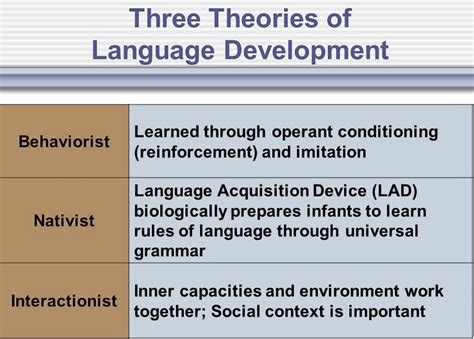 Theories Of Language Development