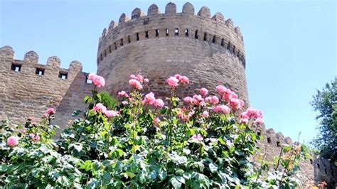 Photo Azerbaijan Ancient Castle Baku And Rose Bush