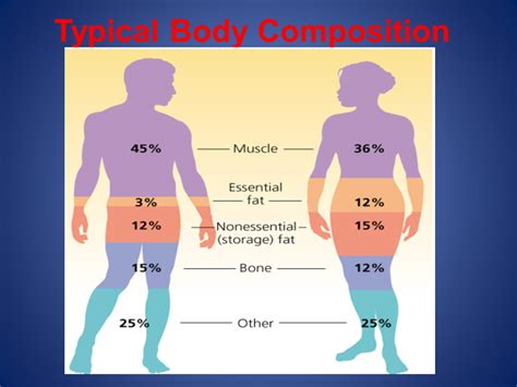 In fact, their primary goal is to push you into proper shape and fitness. Typical Body Composition
