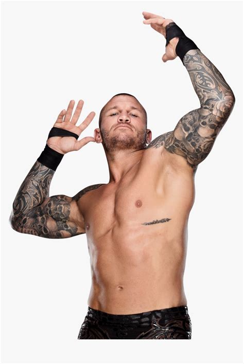 74 3d models found related to randy orton tattoos. Randy Orton Tattoos Arms - Best Tattoo Design