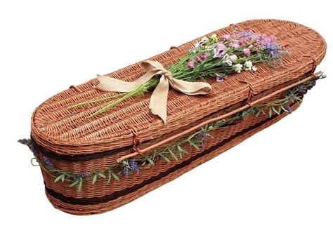 Chestnut Willow Oval Coffin Available From Thos Furber And Co Ltd