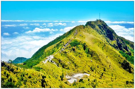 Yuk cari tahu jawabannya dalam artikel finansialku berikut ini. 7 Hal Tentang Gunung Merbabu, Pemandu Merbabu - Operator ...