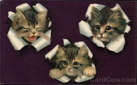 Three Kittens Tearing Through Wrapping Cats Postcard