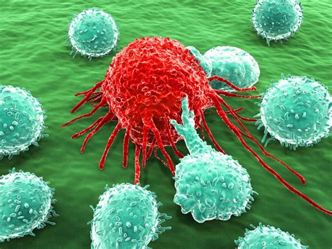 Cancer Immunotherapy A Colorful Past And A Bright Future Sciencell