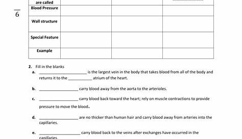 Blood Worksheet
